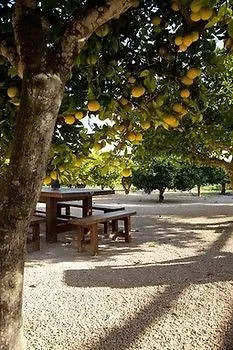 Can Arabi 4*, Puig D'en Valls